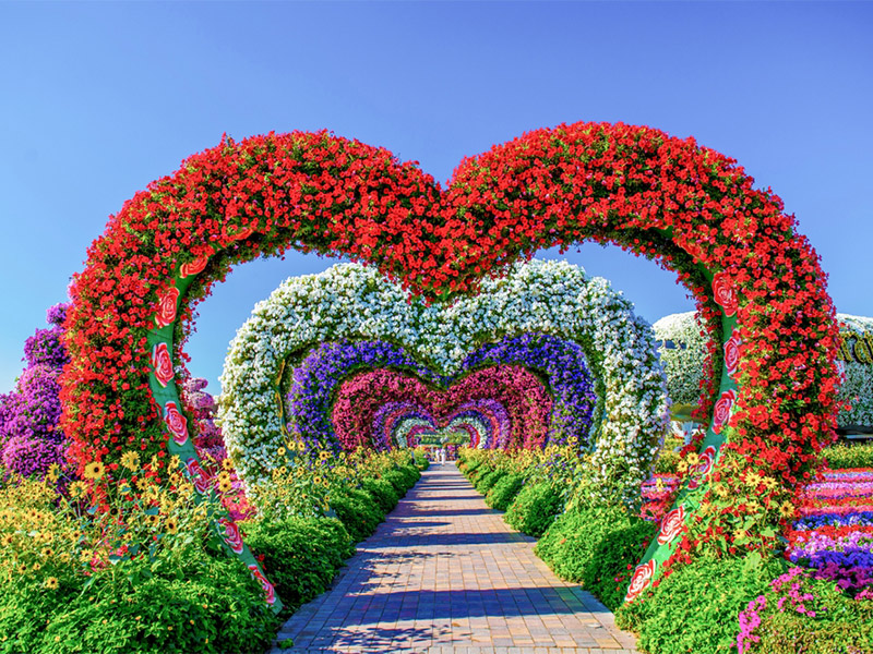 باغ گل معجزه دبی