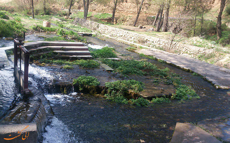 دیو چشمه