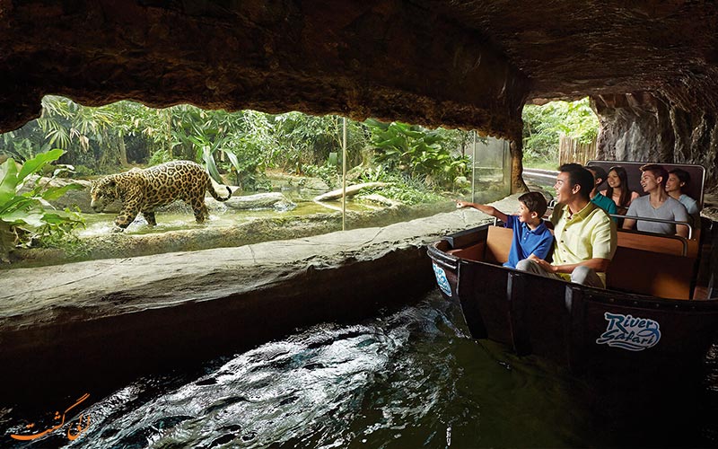سافاری باغ وحش سنگاپور