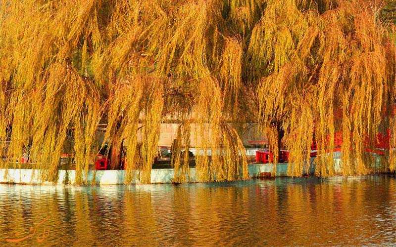 پاییز ترکیه-آنکارا
