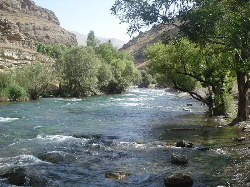 تنگ گنجه ای در یاسوج