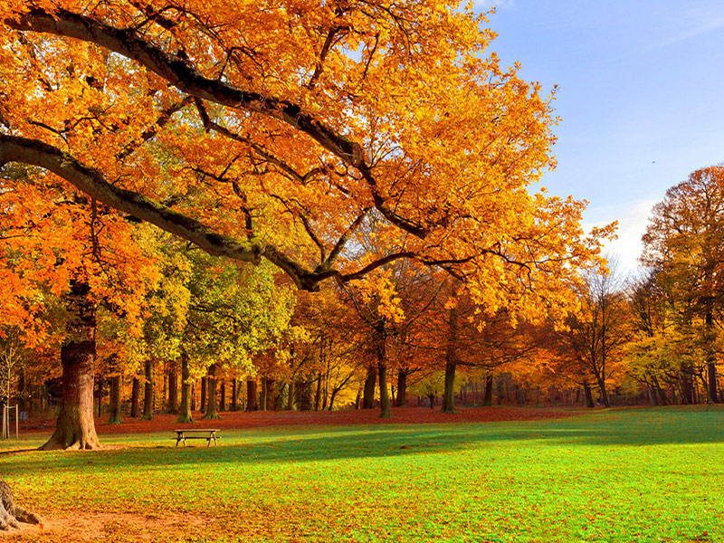 دریاچه سراوان رشت