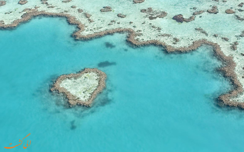 دیواره ی بزرگ مرجانی استرالیا