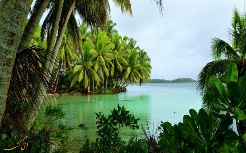 جزیره پالمیرا آتول