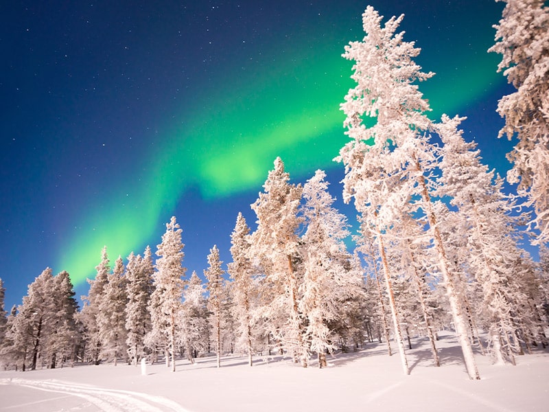 مقاصد برفی - الی گشت