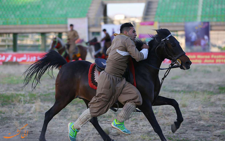 اسب کردی اسب کردی