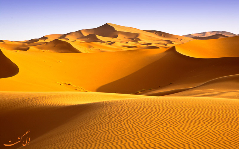 پوشش گیاهی در بیابان ها