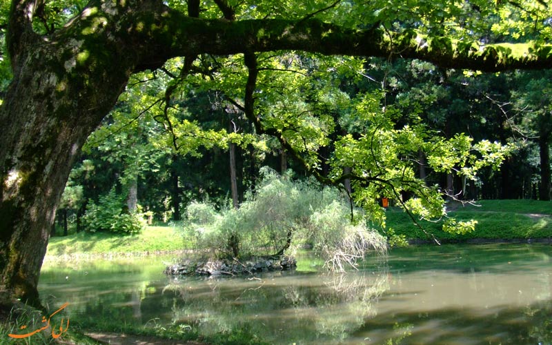 سفر به زوگدیدی سفر به زوگدیدی