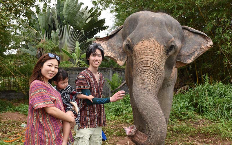 لباس محلی تایلند و فیل ها