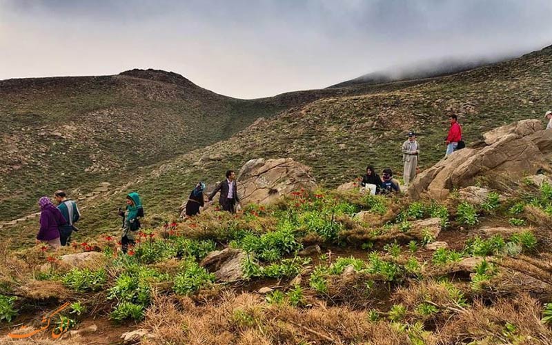 موقعیت گلستان کوه موقعیت گلستان کوه