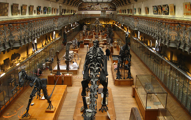 بخش های مختلف موزه تاریخ طبیعی
