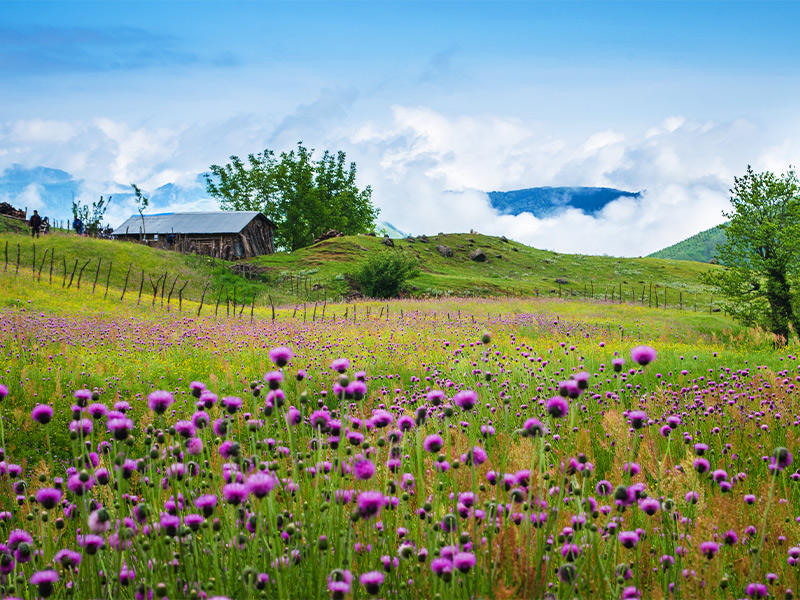 باربری تهران به اردبیل