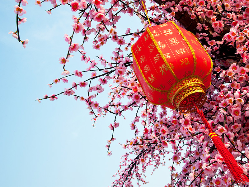 جشن بهار طولانی ترین تعطیلات چینی - الی گشت