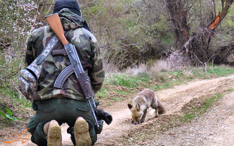 توانایی های یک محیط بان توانایی های یک محیط بان