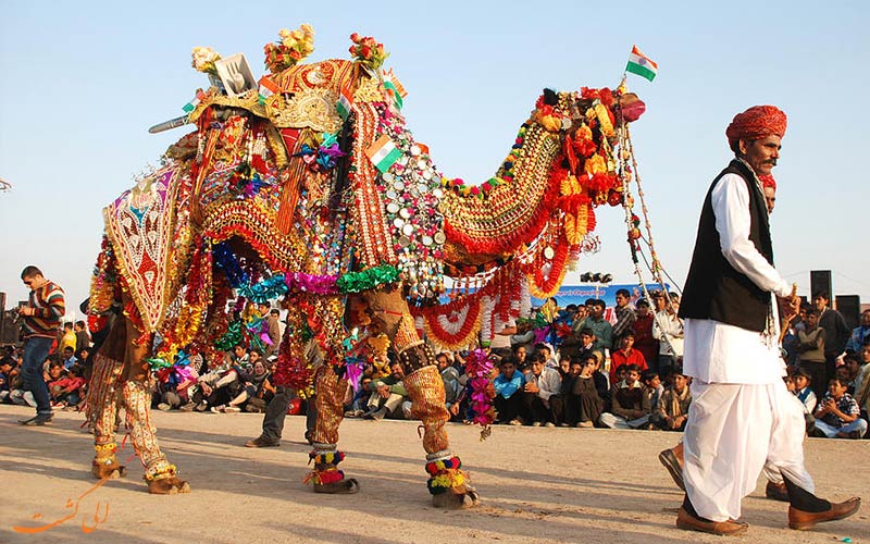 جشنواره شتر بیکانر در راجستان هند جشنواره شتر بیکانر در راجستان هند