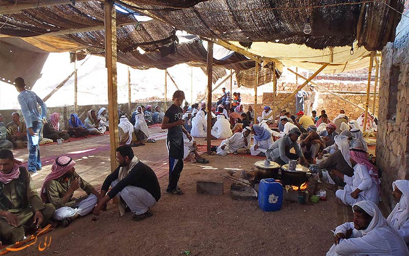زندگی امروزه اقوام بدوین زندگی امروزه اقوام بدوین