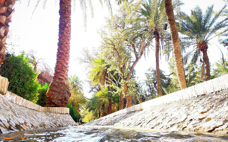 سیستم آبیاری باغ گلشن