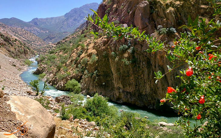 آب و هوای کردستان