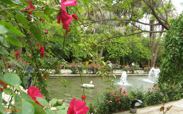 محوطه باغ گلشن