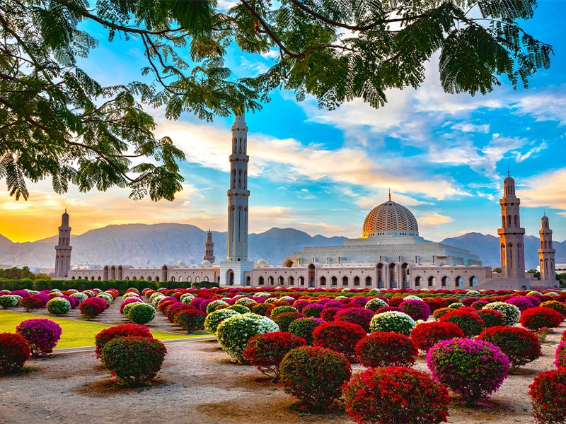  شهر مسقط - الی گشت