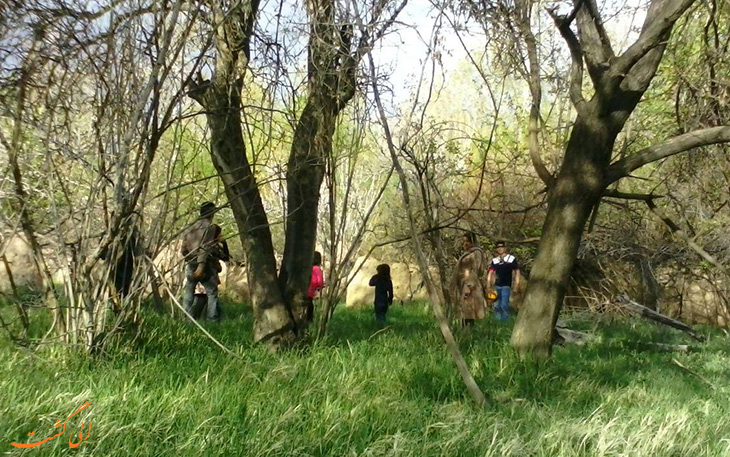 طبیعت گردی های نوروز