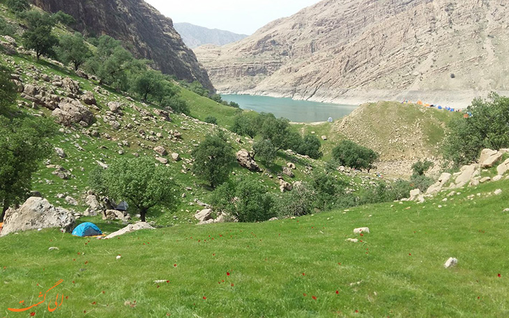 دشت سوسن در ایذه دشت سوسن در ایذه