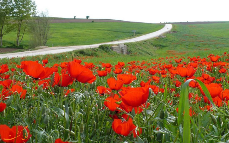 جاذبه های گردشگری سمنان