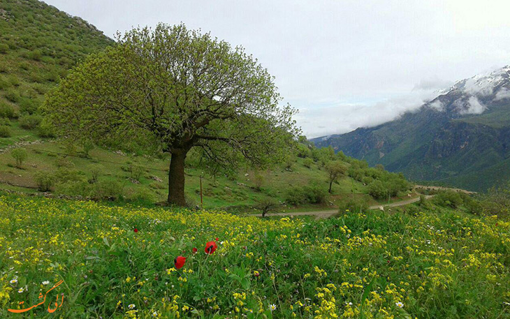 طبیعت روستای دل