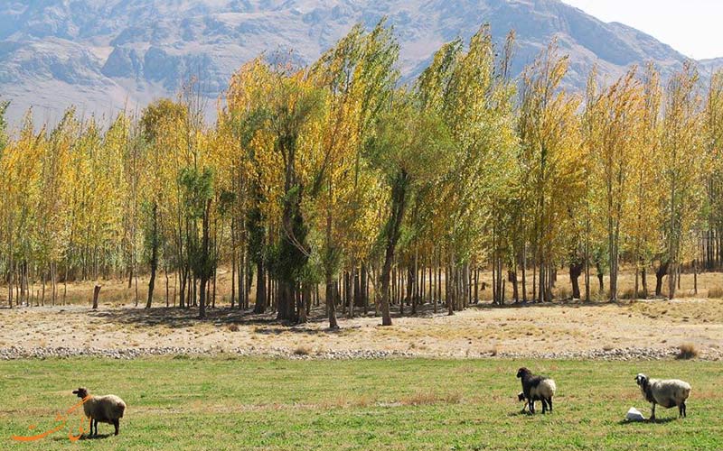 مروری بر تاریخچه ی بروجن