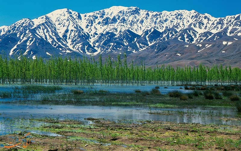 گردشگاه چشمه ی سیاسرد