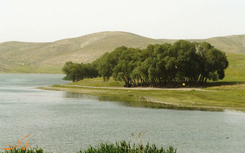 دریاچه-قوریگل-مناطق شکار ممنوع ایران