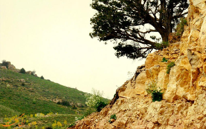 سمنان-مناطق شکار ممنوع ایران