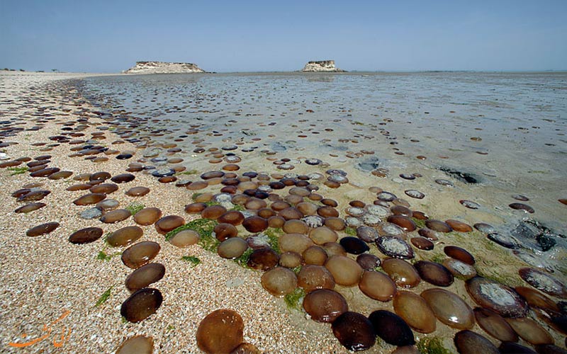 سواحل بکر-راهنمای سفر به جزیره هندورابی