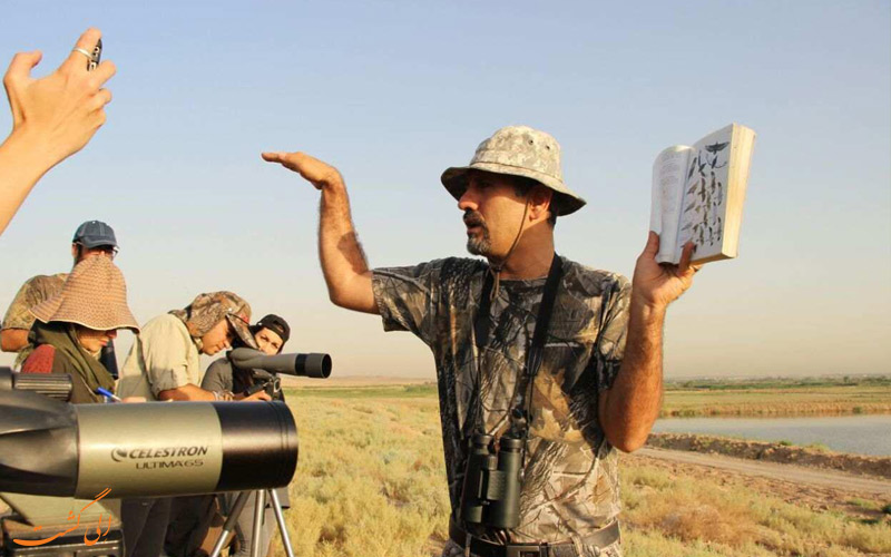 پرنده نگری در ایران پرنده نگری در ایران