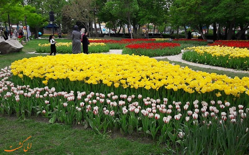 باغ گل کرج باغ گل کرج