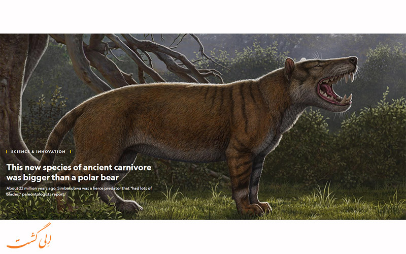مشخصات جانور کشف شده ی 20 میلیون ساله