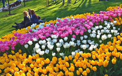 دیدنی‌های استانبول در بهار
