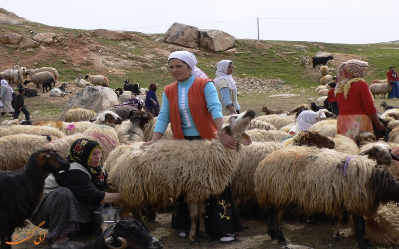 روستاییان ترکیه