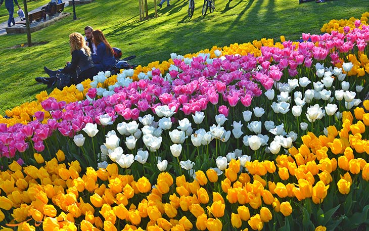فستیوال گل های لاله در استانبول فستیوال گل های لاله در استانبول