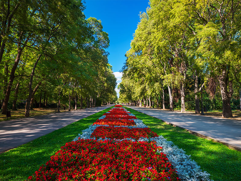 باغ دریایی وارنا