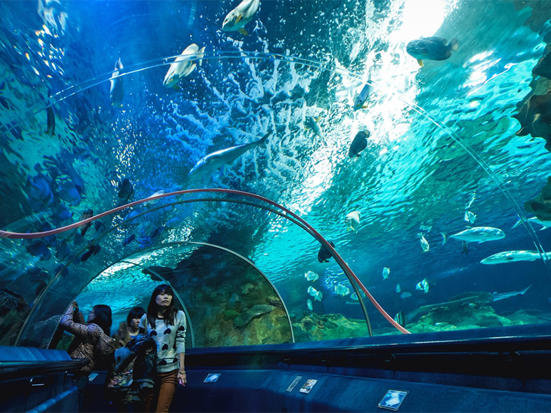 آکواریوم هیانگ گان پکن