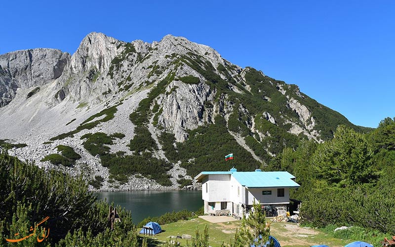 سیناتسیا در پارک ملی پیرین بلغارستان