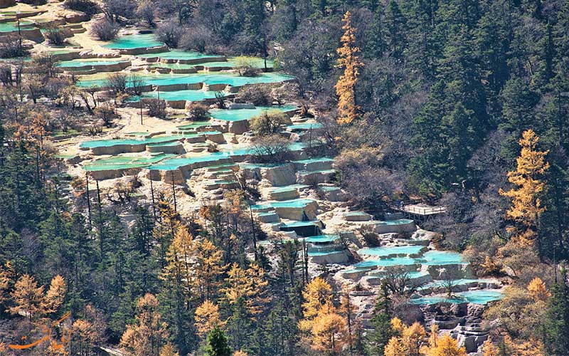 طبیعت جنگلی هوانگ لونگ چین طبیعت جنگلی هوانگ لونگ چین