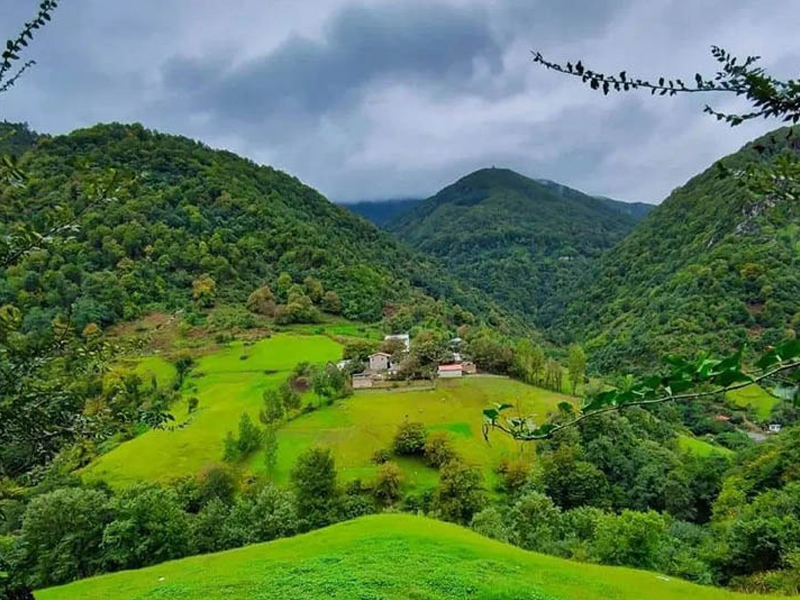 پارک جنگلی گیسوم