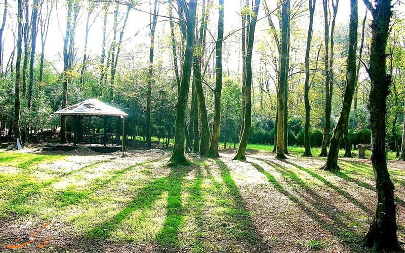 پارک-جنگلی-گیسوم-جاذبه های تالش گیلان