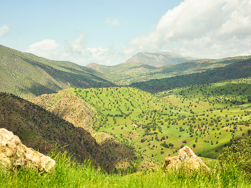 دشت بیلو در مریوان - الی گشت