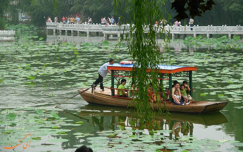 جاذبه‌های طبیعت گردی پکن در پارک بامبو