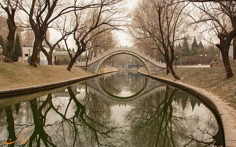 پارک بامبو بنفش از جاذبه های طبیعت گردی پکن