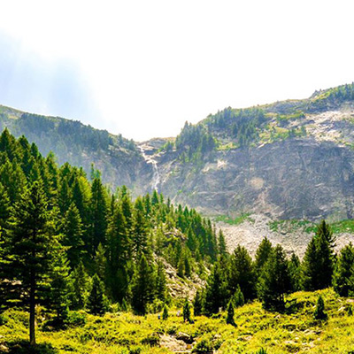 جنگل گردی در بلغارستان برای همه و بدون نیاز به راهنما