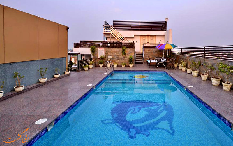 تراس و استخر پشت بام هتل سون هیل تاور آگرا از بهترین هتل های 3 ستاره آگرا